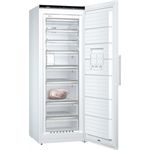 Siemens GS58NAWDV ws Gefrierschrank 360L D NoFrost 191x70x