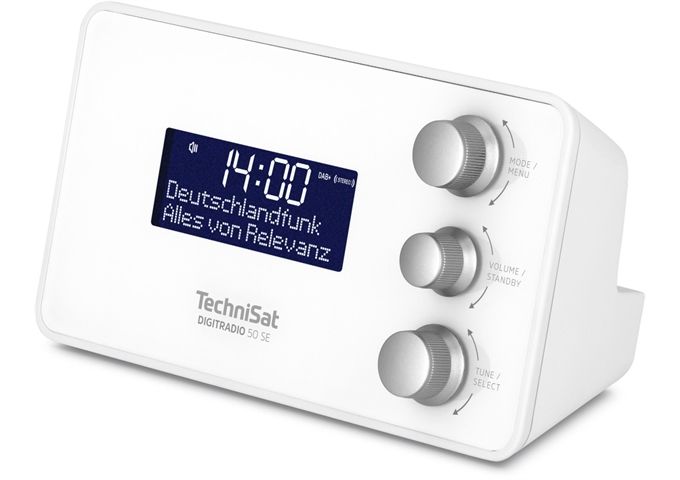 TechniSat DigitRadio 50 SE ws DAB+/UKW-Uhrenradio mit LCD-Di