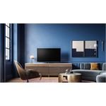 Loewe bild v.65 dr+ basalt grey OLED-TV UHD 4K DVB-T2/C/