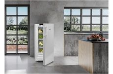 Liebherr RBa30 425i Ed Standkühlschrank A-30% 161L 125,5x59